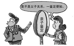 连云港能做DNA鉴定吗，连云港做血缘检测需要多少费用